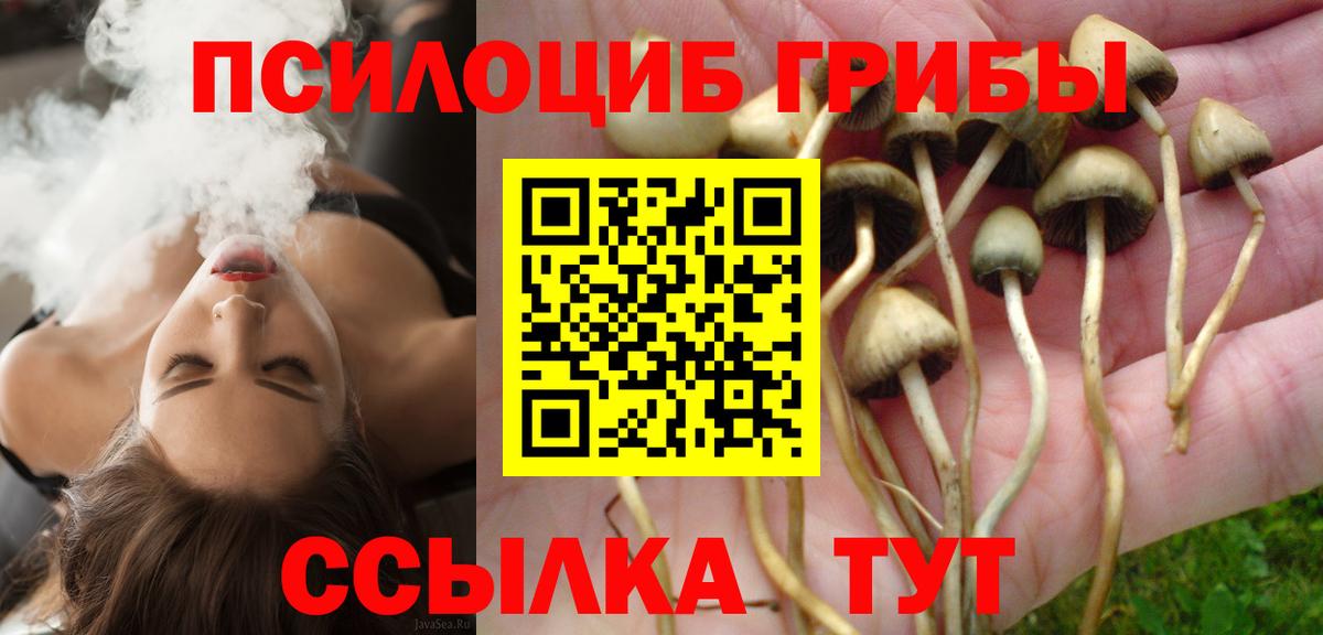 купить наркоту  Вход с VPN  Владивосток  Псилоцибиновые грибы Psilocybe  Галлюциногенные грибы ЛСД 
